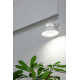 LED PAR20 6,2W/835 400LM E14 PLANT OPAL AIRAM