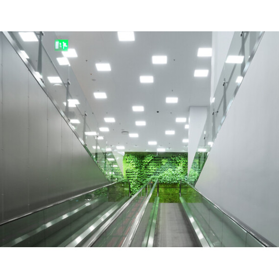 LED PANEL PLATA 34W/840 600X600 3600lm UGR19 MCA3 DALI2 5ÅR AIRAM