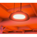 HIGHBAY FARMER 80W/850 - 63W/RED FOR NIGHT CONTROL - SPESIALLAMPE FOR DYREHOLD 550550 UNO