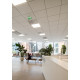 LED PANEL PLATA 34W/830 600X600 3600lm UGR19 MCA3 DALI2 5ÅR 4146656 AIRAM